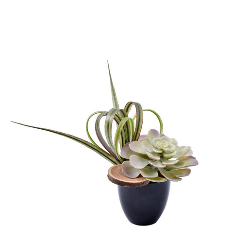Artificial Mini Gray Succulent Plant