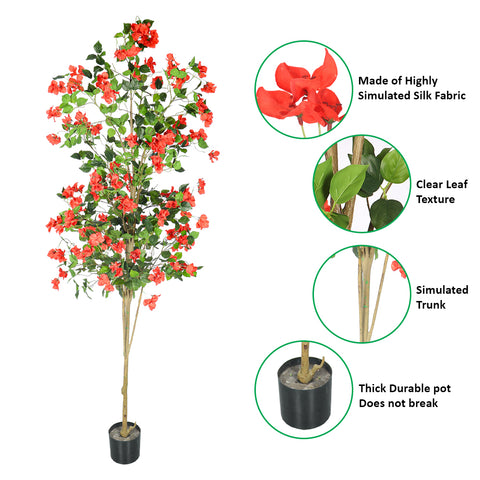 decorative bougainvillea tree