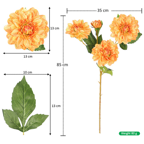 Decorative dahlia bunch