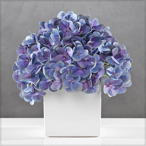 modern hydrangea arrangement