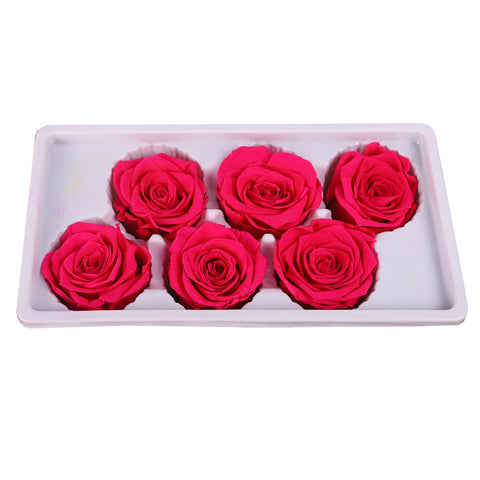 6 Pieces Preserved Rose Flower