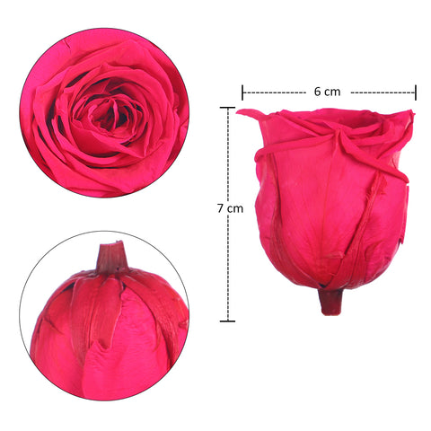 6 Pieces Preserved Rose Flower