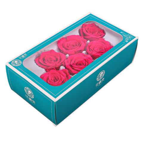 6 Pieces Preserved Rose Flower