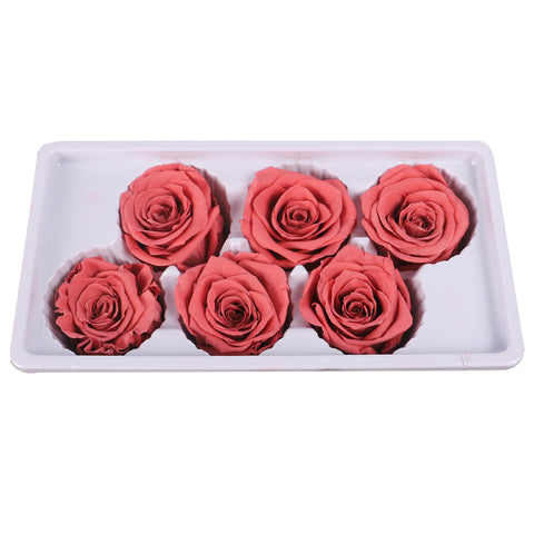 6 Pieces Preserved Rose Flower