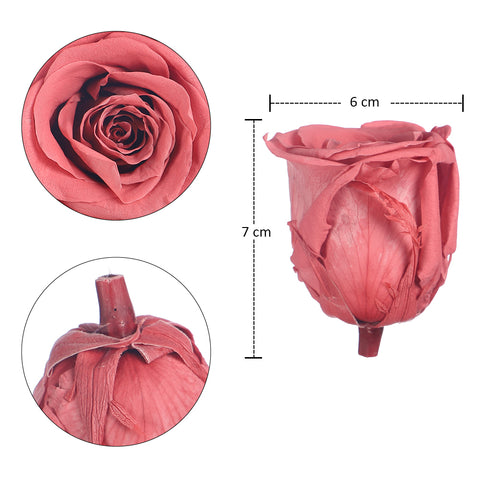 6 Pieces Preserved Rose Flower