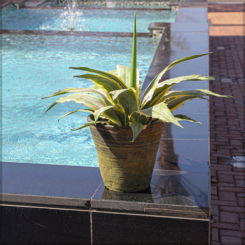 Clay pots for indoor or outdoor use
