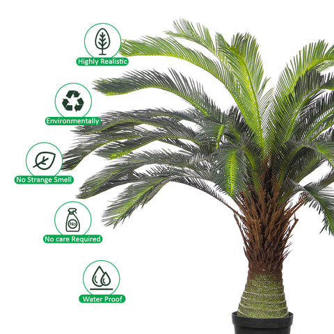 Decorative cycas plant
