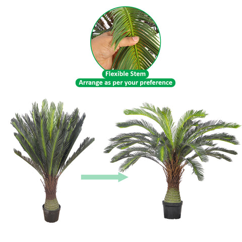 Realistic cycas plant decor