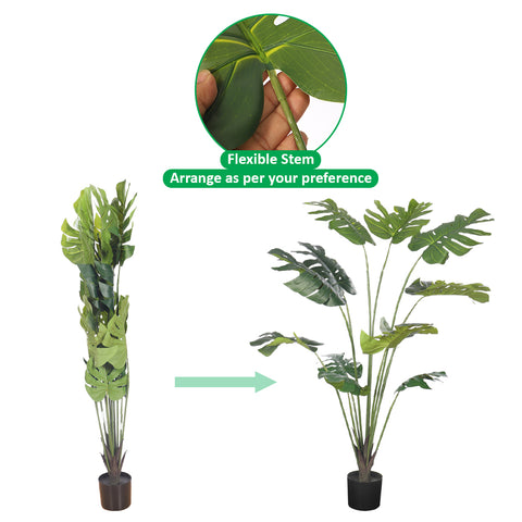 Monstera Tree for Indoor Decor