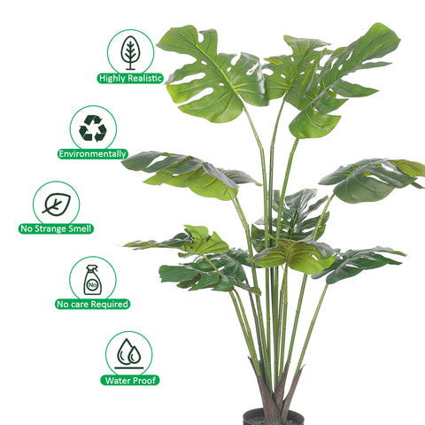 Monstera Tree