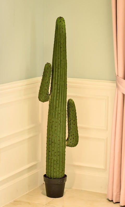 Decorative Fake Cactus