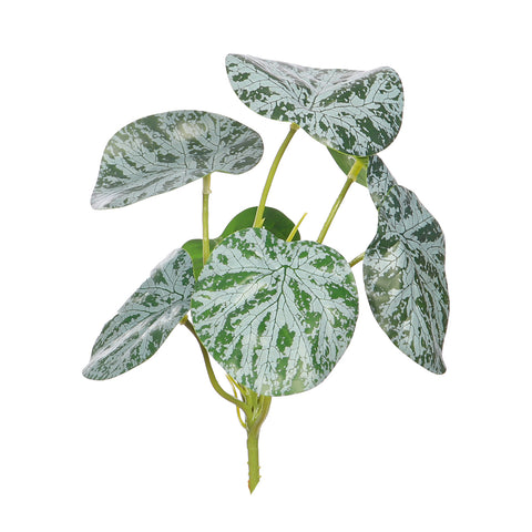 Faux Peperomia Caperata Leaves Bunch(without vase)