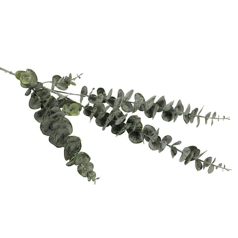 fake eucalyptus stem