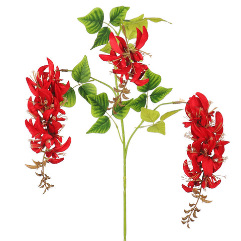 laburnum decor uae