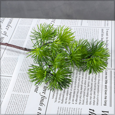 Pine branch