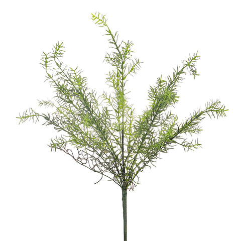 Artificial asparagus bunch
