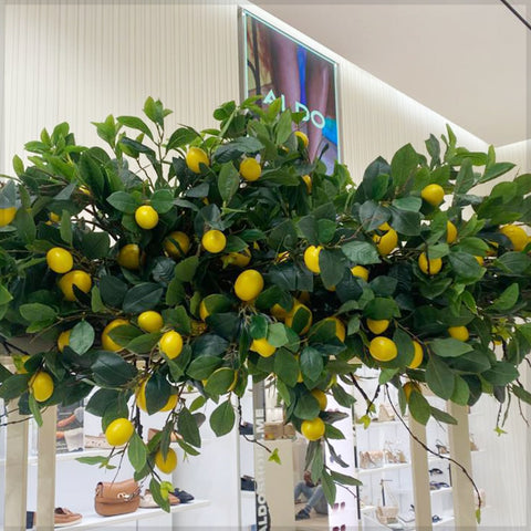 rustic lemon cart