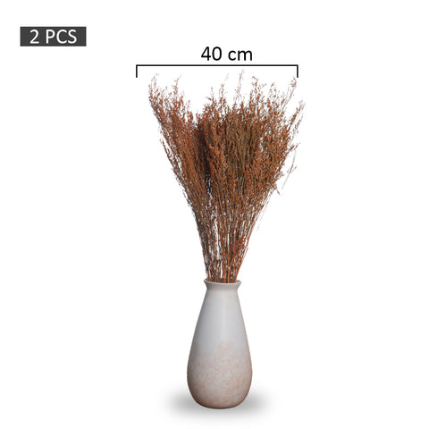 Dried Flowers for Decor