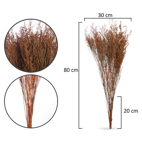 Preserved Caspia Flowers