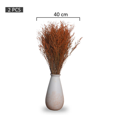 2bunches Dried Caspia Flower(without vase)