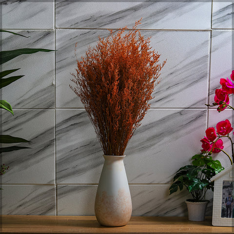 2bunches Dried Caspia Flower(without vase)