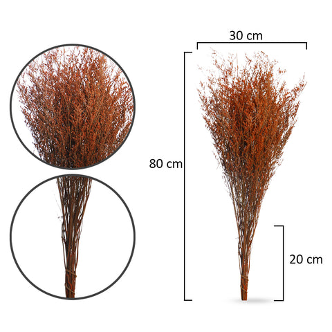 2bunches Dried Caspia Flower(without vase)