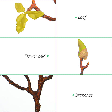 Artificial magnolia flower arrangement