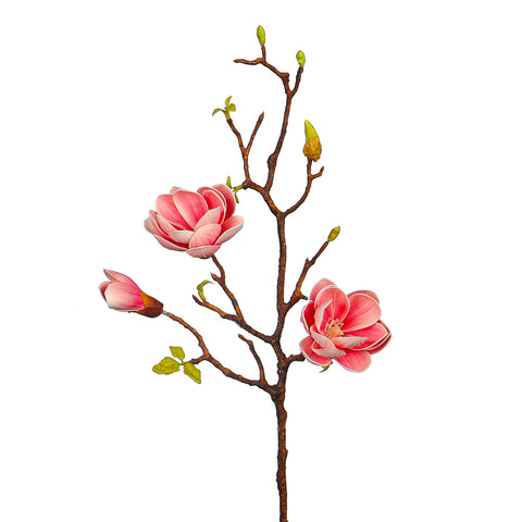 Lifelike magnolia flower stems