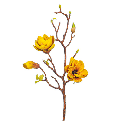 Single Stem Nearly Natural Magnolia Flowers (without vase)