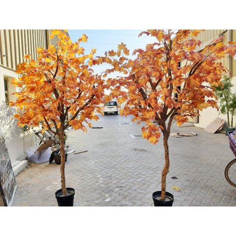 2pcs maple plant making
