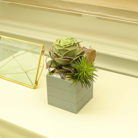 Fake Succulent Plant