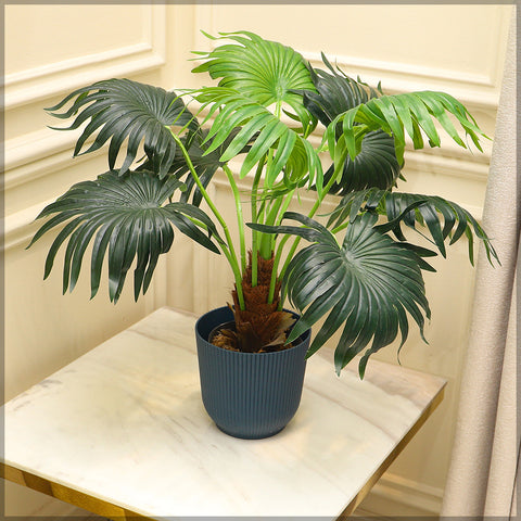 contemporary plant pots