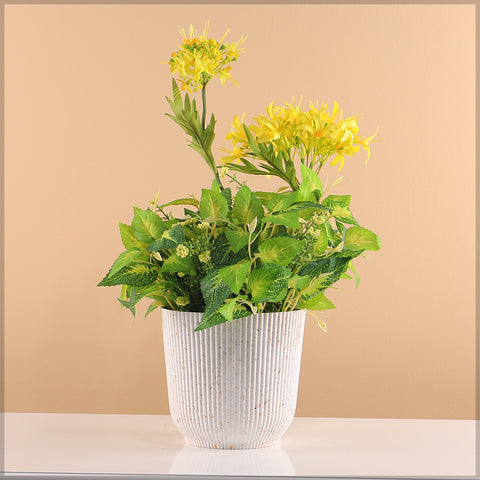 Plant Pot