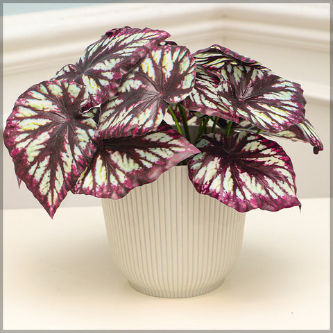 decorative rib design flower pot