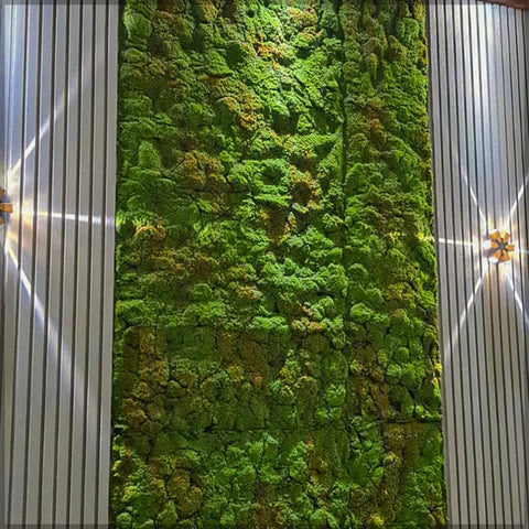 cactus wall indoor design