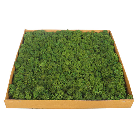 Living Wall Panels