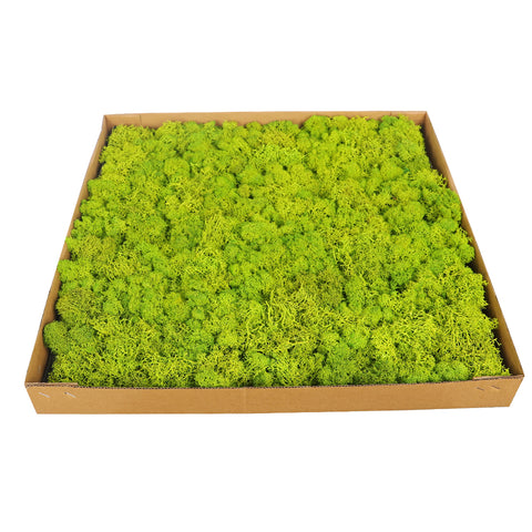 Green Moss Wall Cladding