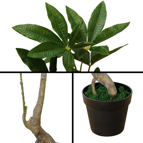 fake pachira aquatica plant