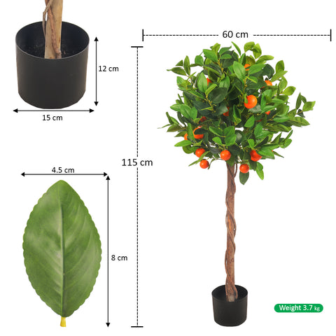 Fruit tree for stylish interiors