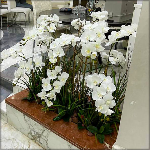 Home orchid arrangement