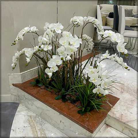 Simple orchid decor