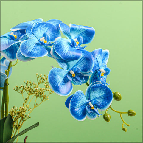 Artificial Orchid Flowers in Different Colors