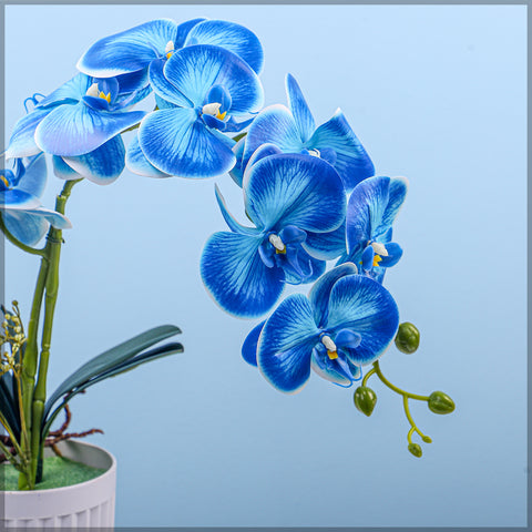 Artificial Orchid Flowers in Different Colors
