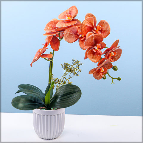 2PCS Artificial Orchid Flowers in Different Colors(without vase)
