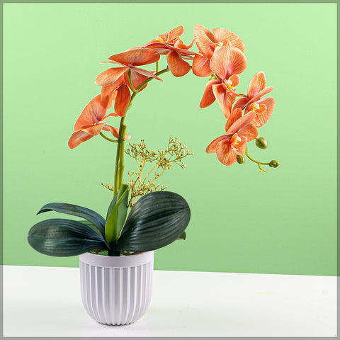 2PCS Artificial Orchid Flowers in Different Colors(without vase)