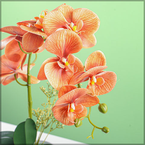 Artificial Orchid Flowers in Different Colors