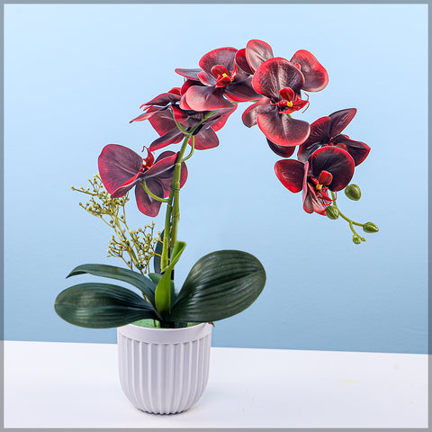 Artificial Orchid Flowers in Different Colors