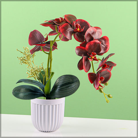 Artificial Orchid Flowers in Different Colors