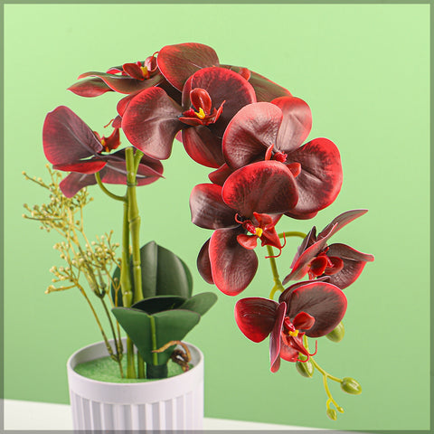 Artificial Orchid Flowers in Different Colors