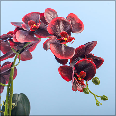 Artificial Orchid Flowers in Different Colors